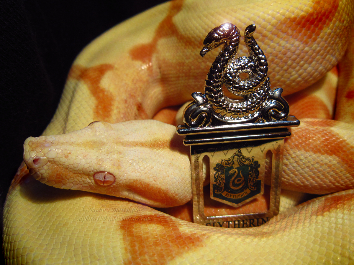 Slytherin