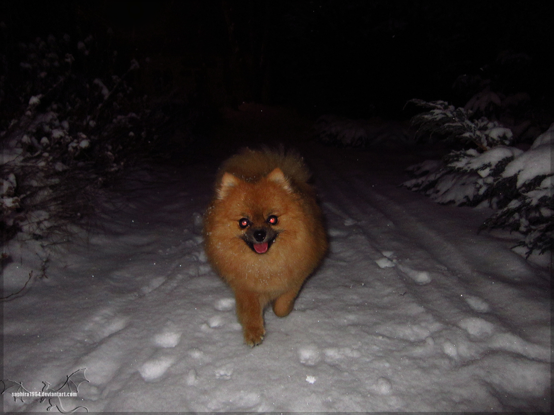 Snowy Smile