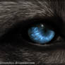 Eye Of Mahigun The She-Werewolf