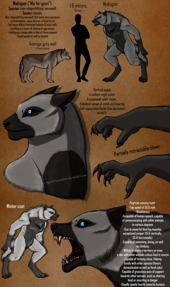 Mahigun the Werewolf - Character Sheet by Sapphiresenthiss on DeviantArt