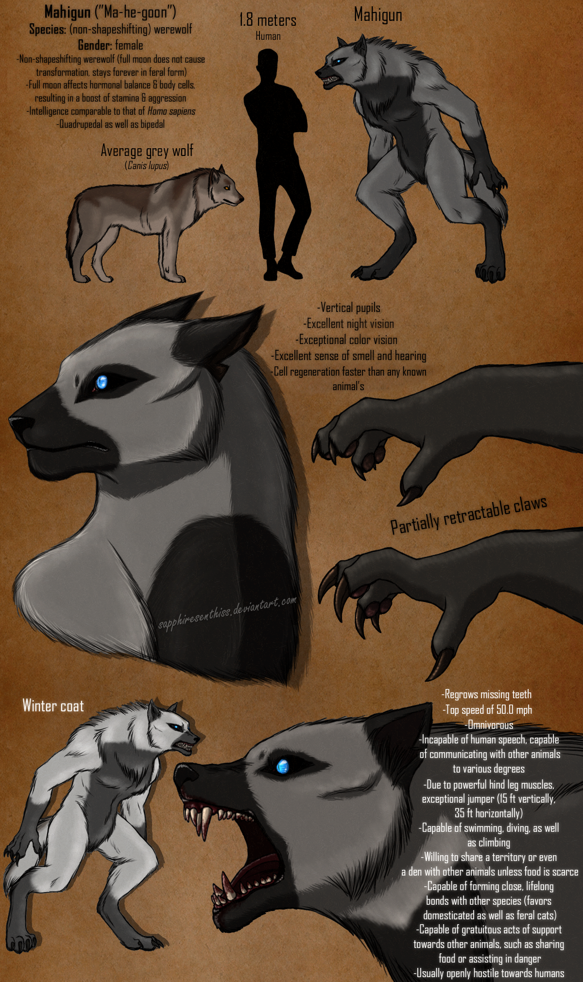 Mahigun the Werewolf Character Sheet by Sapphiresenthiss on DeviantArt