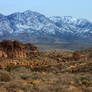 Desert Hike