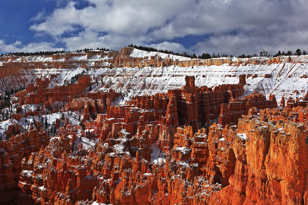 Bryce Canyon IV