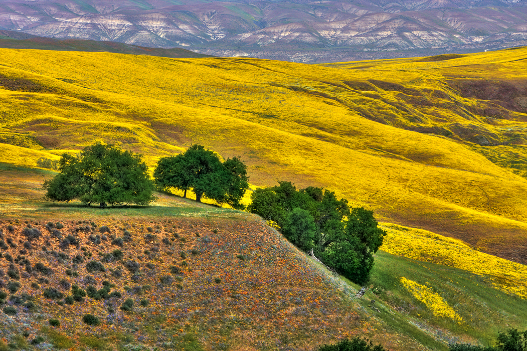 Foothills