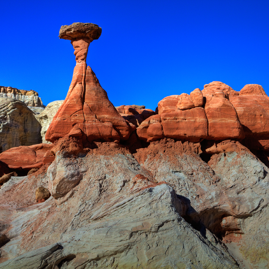 Rimrock Toadstool