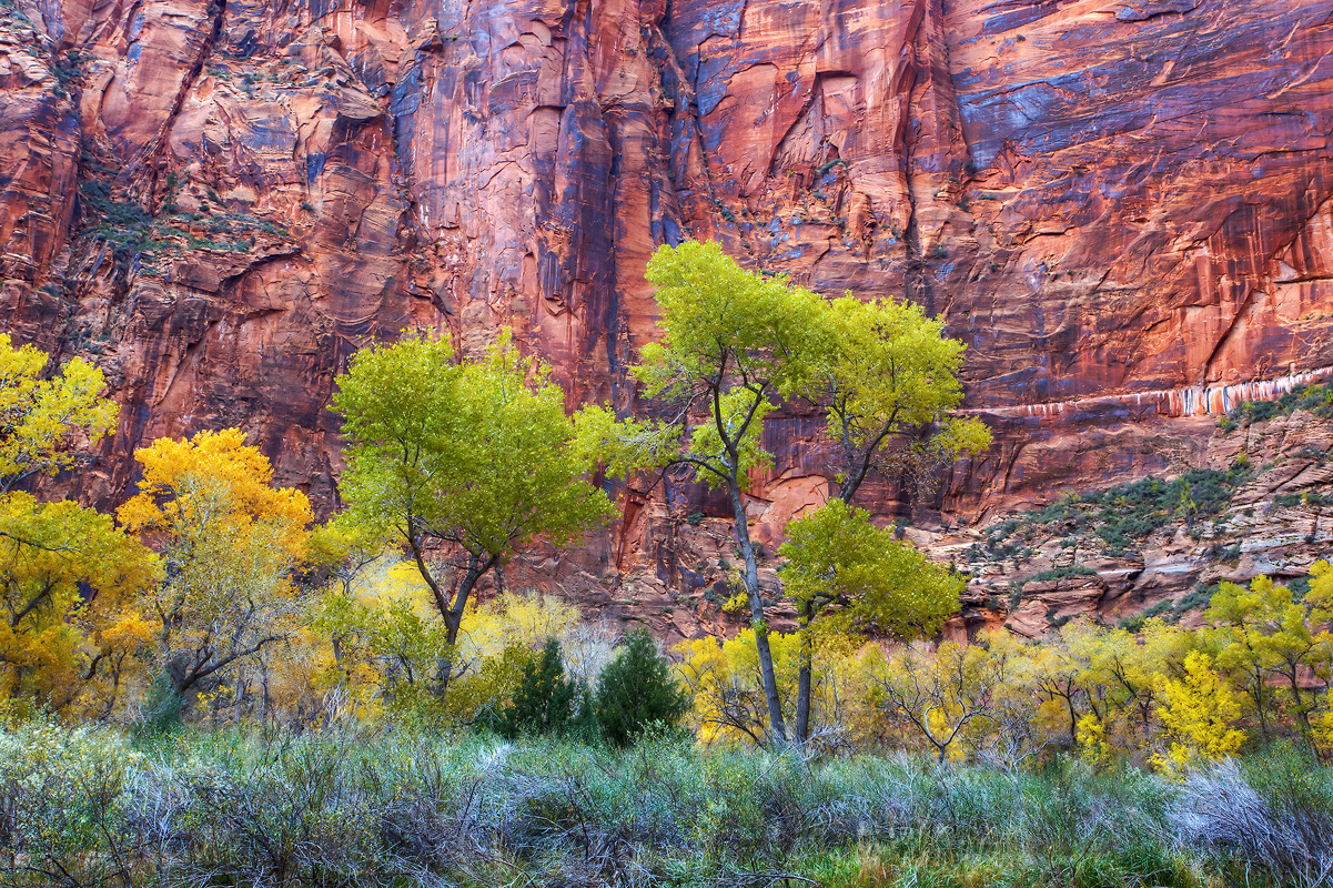 Zion Fall I