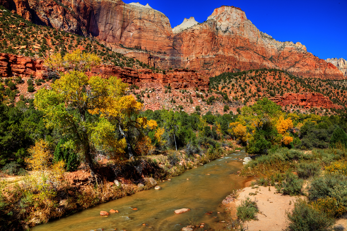 Zion Fall 2013