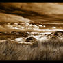 Dunes in Sepia and B-W