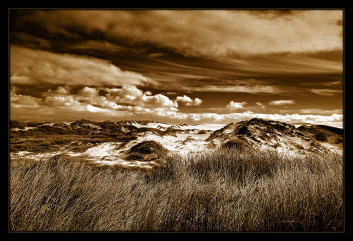 Dunes in Sepia and B-W