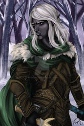 Drizzt Do'Urden