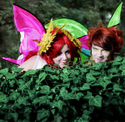 Peeping Fairies