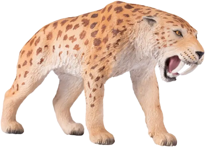 Saber tooth Tiger by Godzilla200004444 on DeviantArt