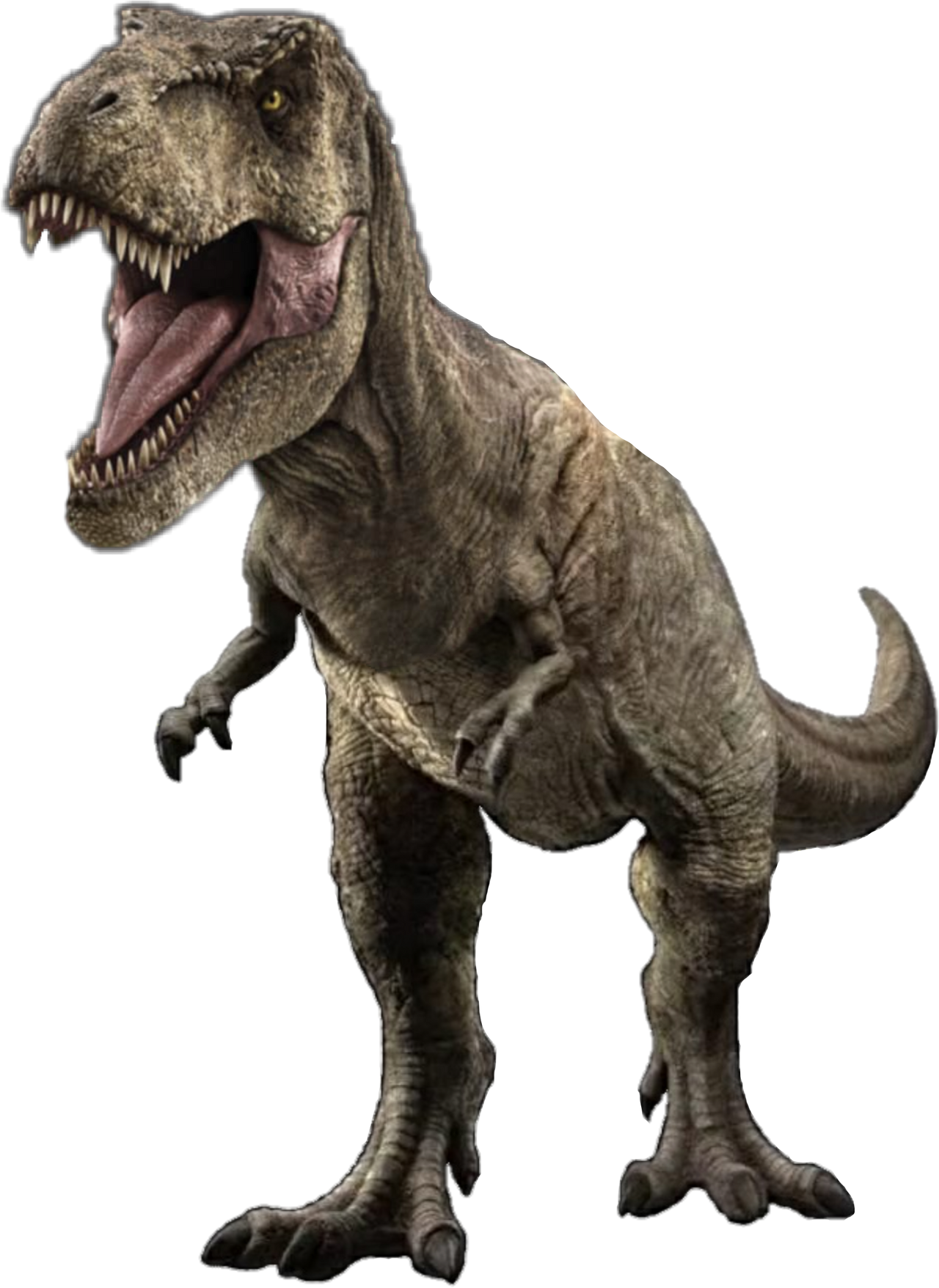 Jurassic World Tyrannosaurus Rex Render 13 by tsilvadino on DeviantArt