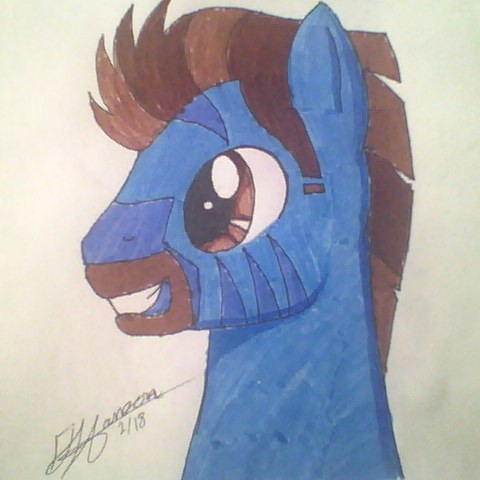 Pony Persona Head Shot