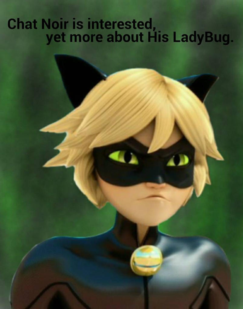 Chat Noir Meme By Darknessandmadness On Deviantart Chat Noir Meme By Darknessandmadness On Deviantart