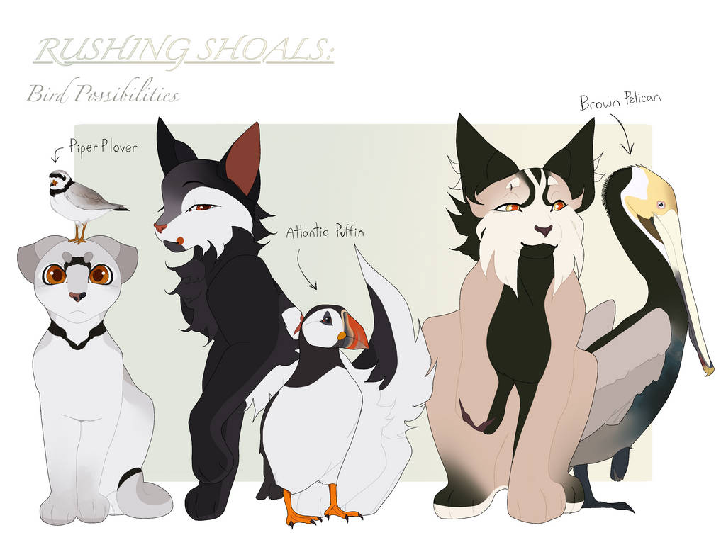 Rushing Shoals: Bird Examples by GatsbyPhillips on DeviantArt