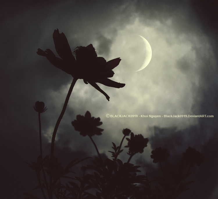 New Moon by BlackJack0919