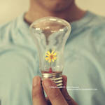 Light Up Your Inspirations by BlackJack0919