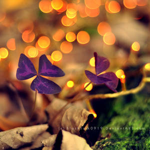 Moss Flame by BlackJack0919 Moss Flame by BlackJack0919