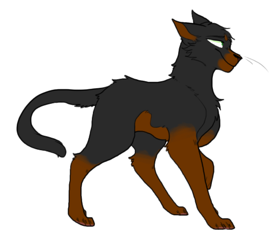 Warrior Cat Name Prefixes And Suffixes List By Silvermoon0371 On Deviantart