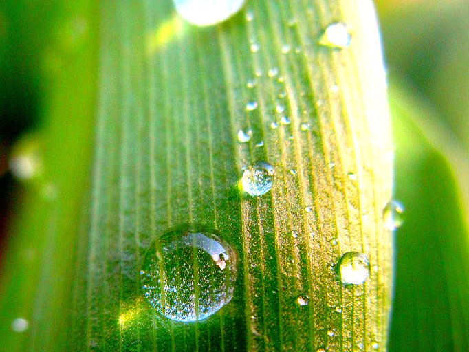 Magnifying Droplets