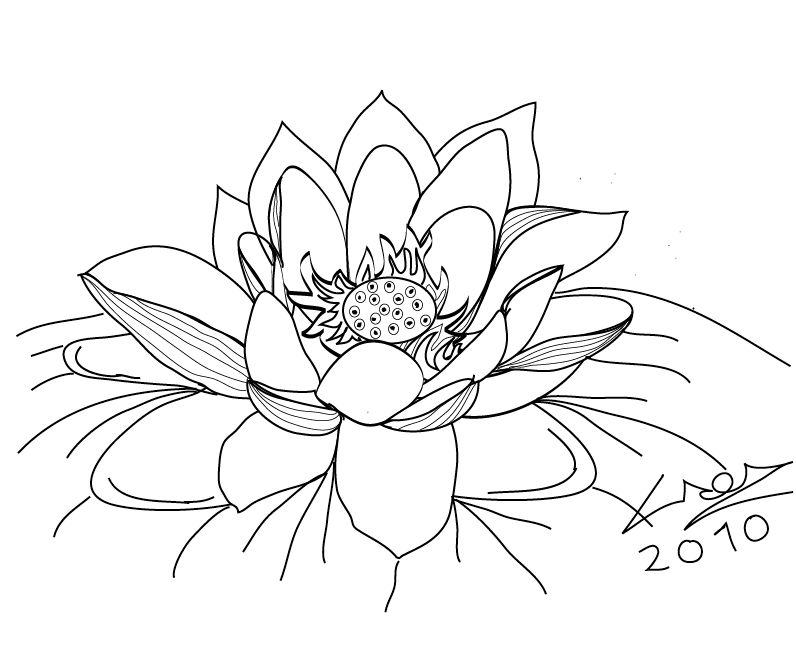 black and white lotus by alecmagic on DeviantArt