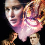 Catching Fire - Alternate Book Cover #2