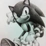 Sonic the hedgehog