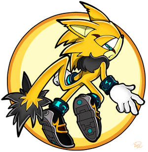 Original sonic character