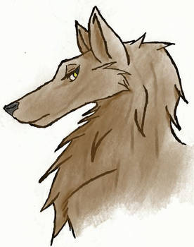 Wolf Doodle tablet color practice