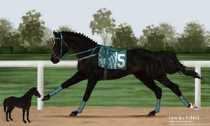 Claiming Race Import