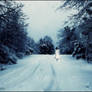 And Forever She walked...