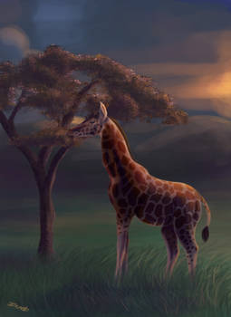 Giraffe