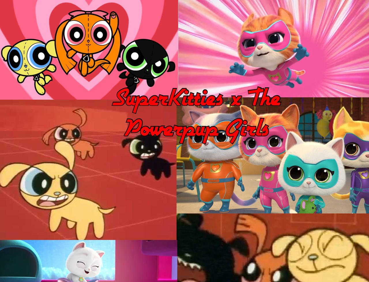 Meme: SuperKitties And Powerpups College (REMAKE) by Stacey-11 on ...