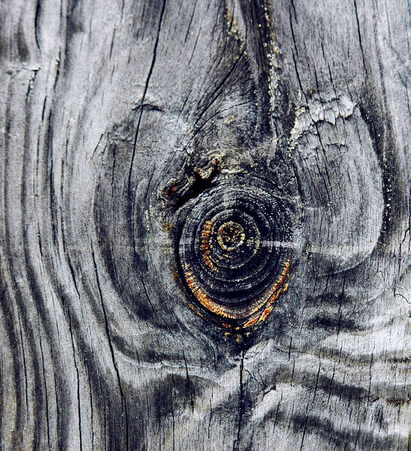 Wood Eye IV