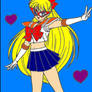 Sailor V Painted