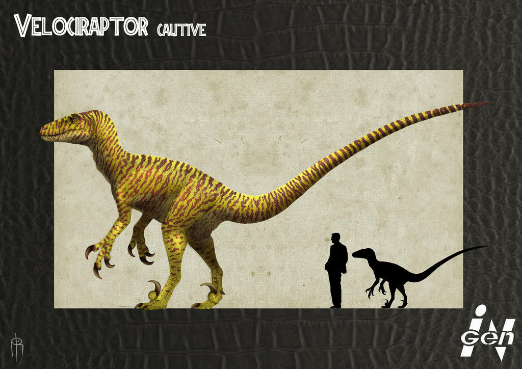 JP cautive raptor remake by JELSIN on DeviantArt
