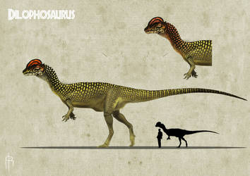 Dilophosaurus color experiment 3 B