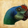 ovirraptor parrot