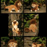 Plushie: Leo the Lion