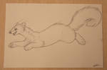 Sketch Commission: Fern the Pine Marten by Avanii