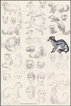 Sketchdump: Ferrets, Foxes and Fantasy Creatures