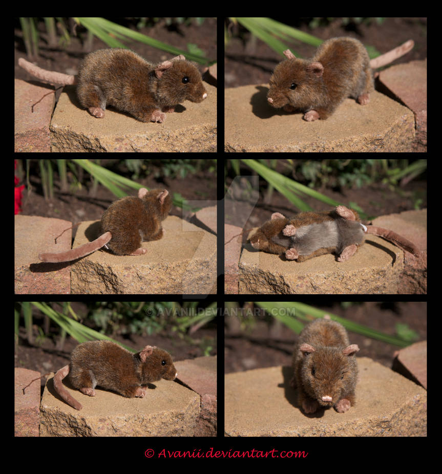 FOR SALE Plushie: Dusty the Rat by Avanii on DeviantArt