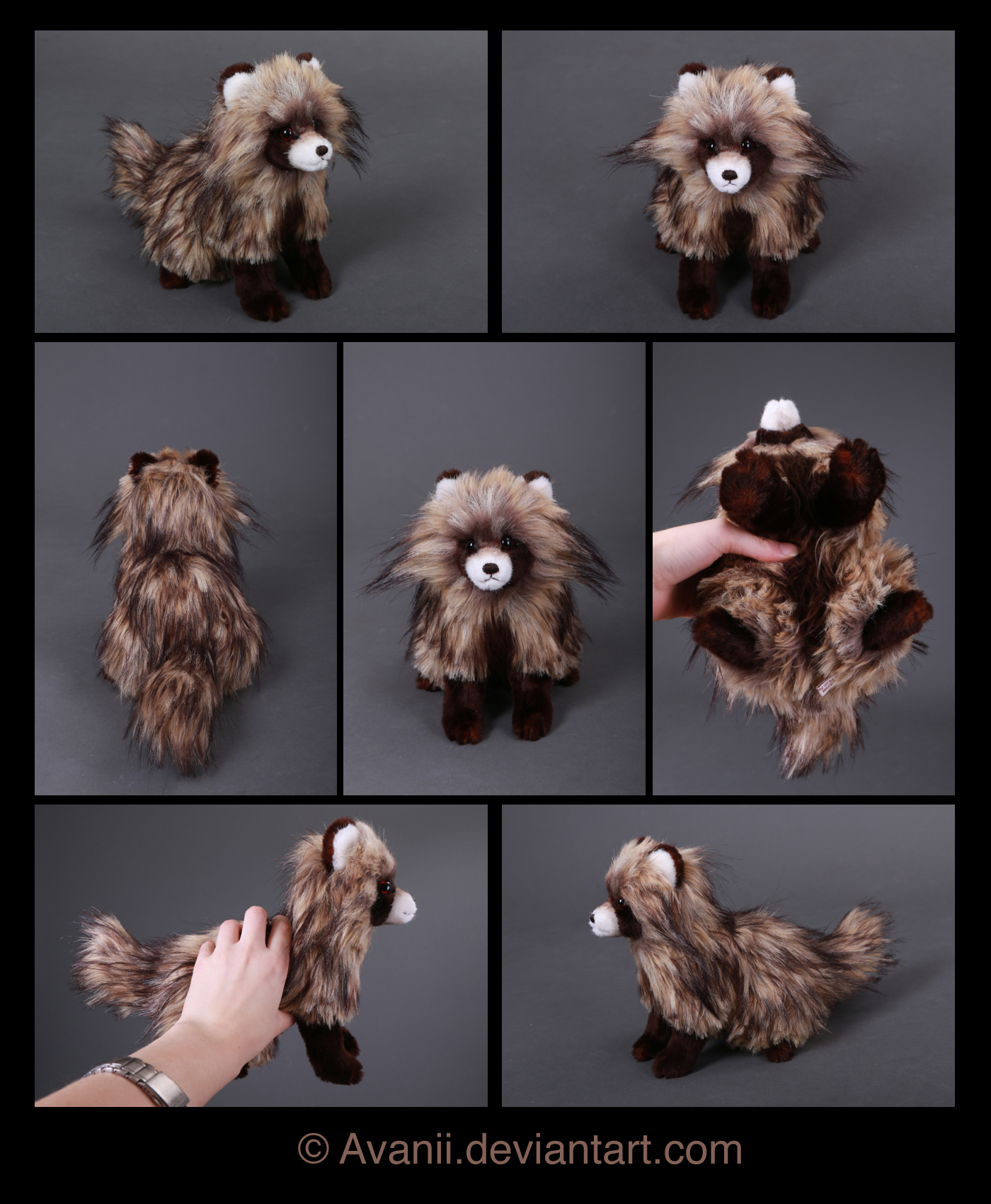 Plushie Commission: Raccoon Dog