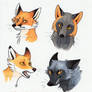 Fox Faces