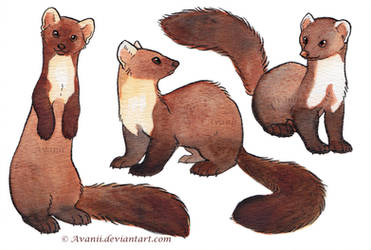 Watercolour Martens