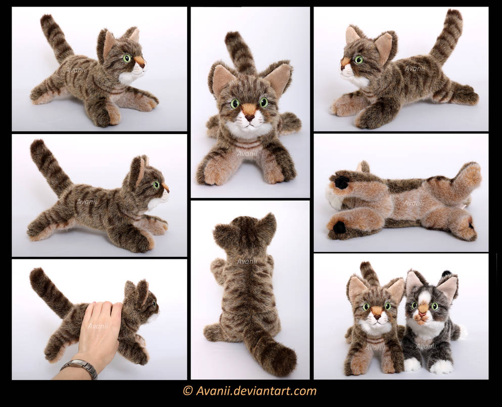 Plushie Commission: Kiara the Cat by Avanii