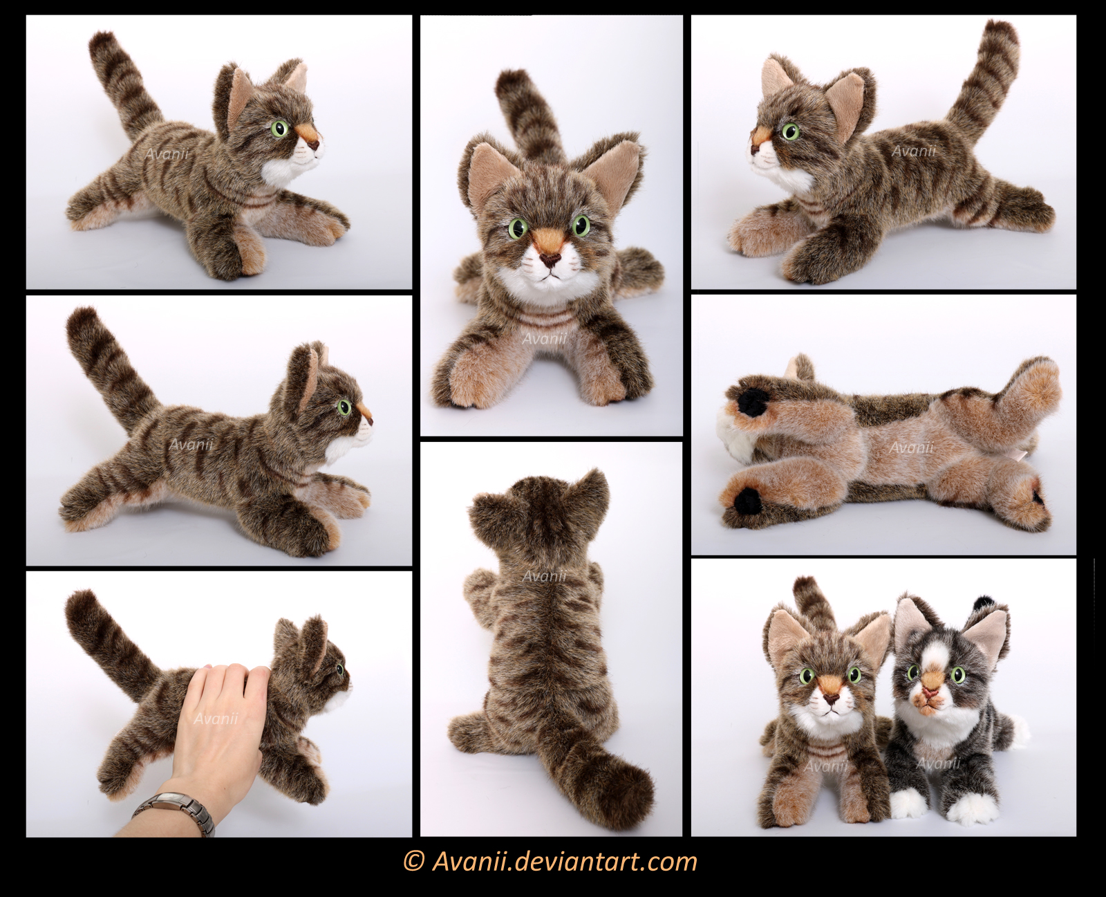 Plushie Commission: Kiara the Cat by Avanii