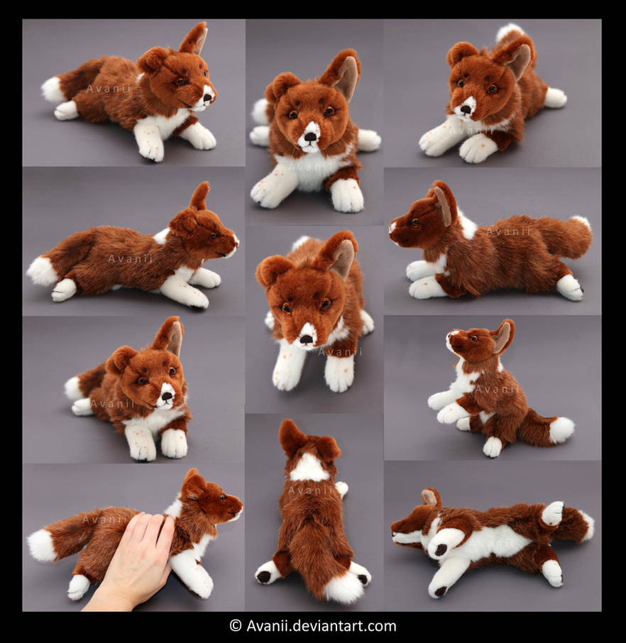 Plushie Commission: Hollywood the Dog by Avanii