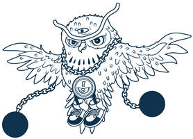 17th Owl